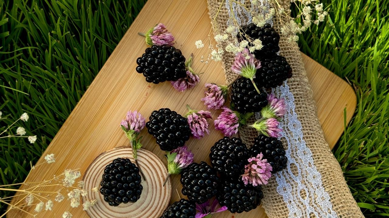 Blackberry Farm Landscape