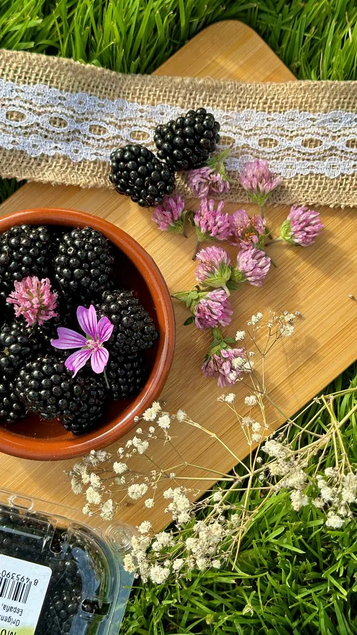 Hand-picking blackberries